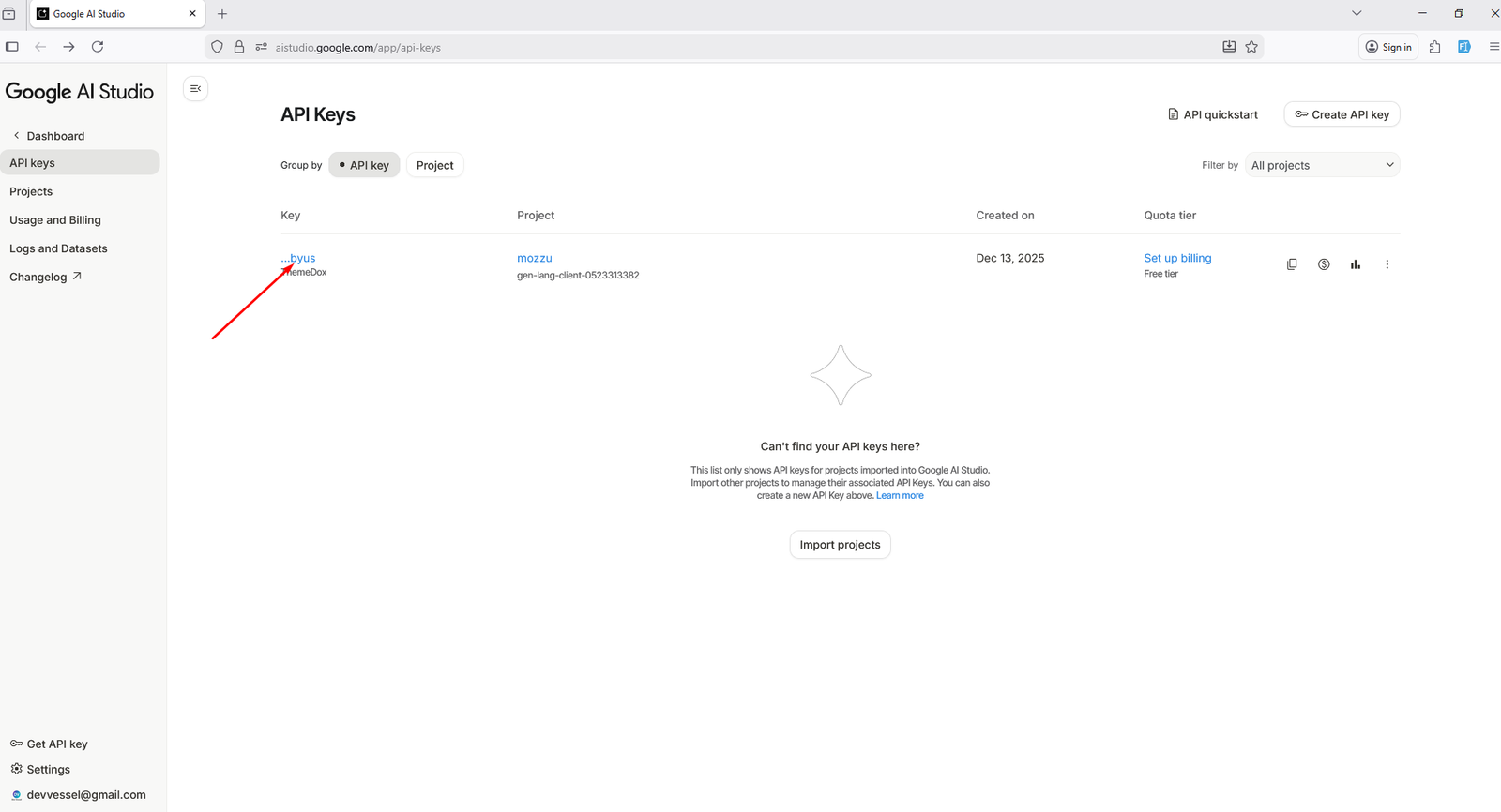 Copy Gemini API key from Google AI Studio