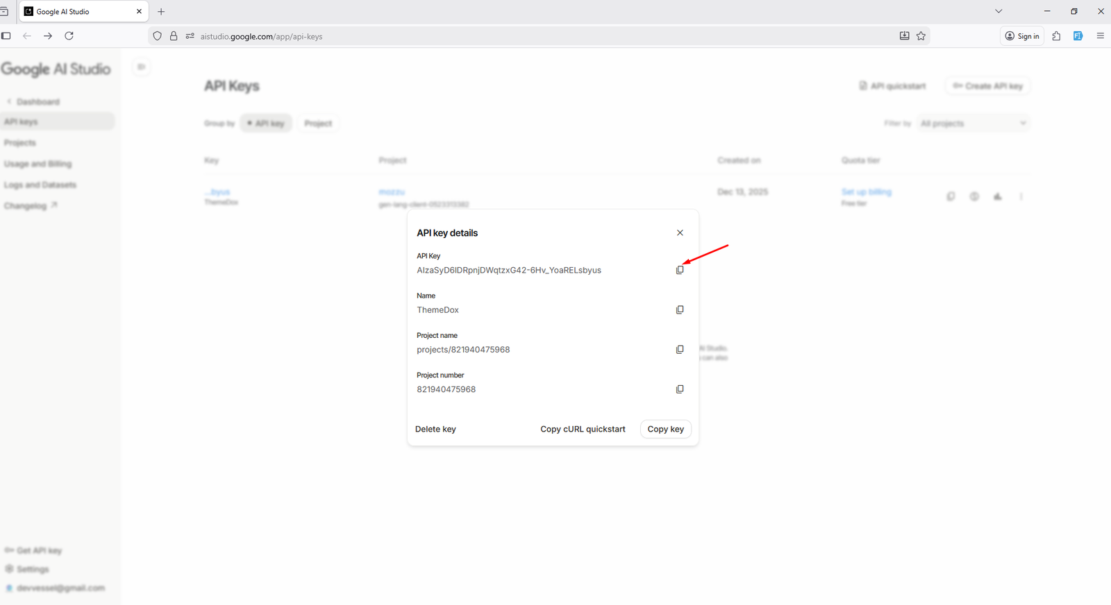 Paste Gemini API key in application settings